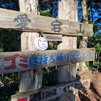 13座目　愛宕山
あとから見たら、全部で17座だった😲