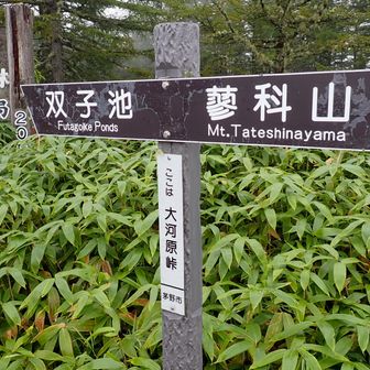 双子池目指して行ってきます✋
(皆々様は蓼科山へ⇨)
