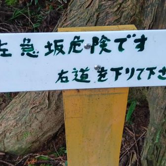 注意喚起の看板👌