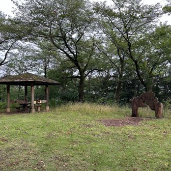 まずは浅間山にゃ。空気はもわもわ、地面は濡れているにゃ。歩いていると身体の調子は良くなってくるにゃ