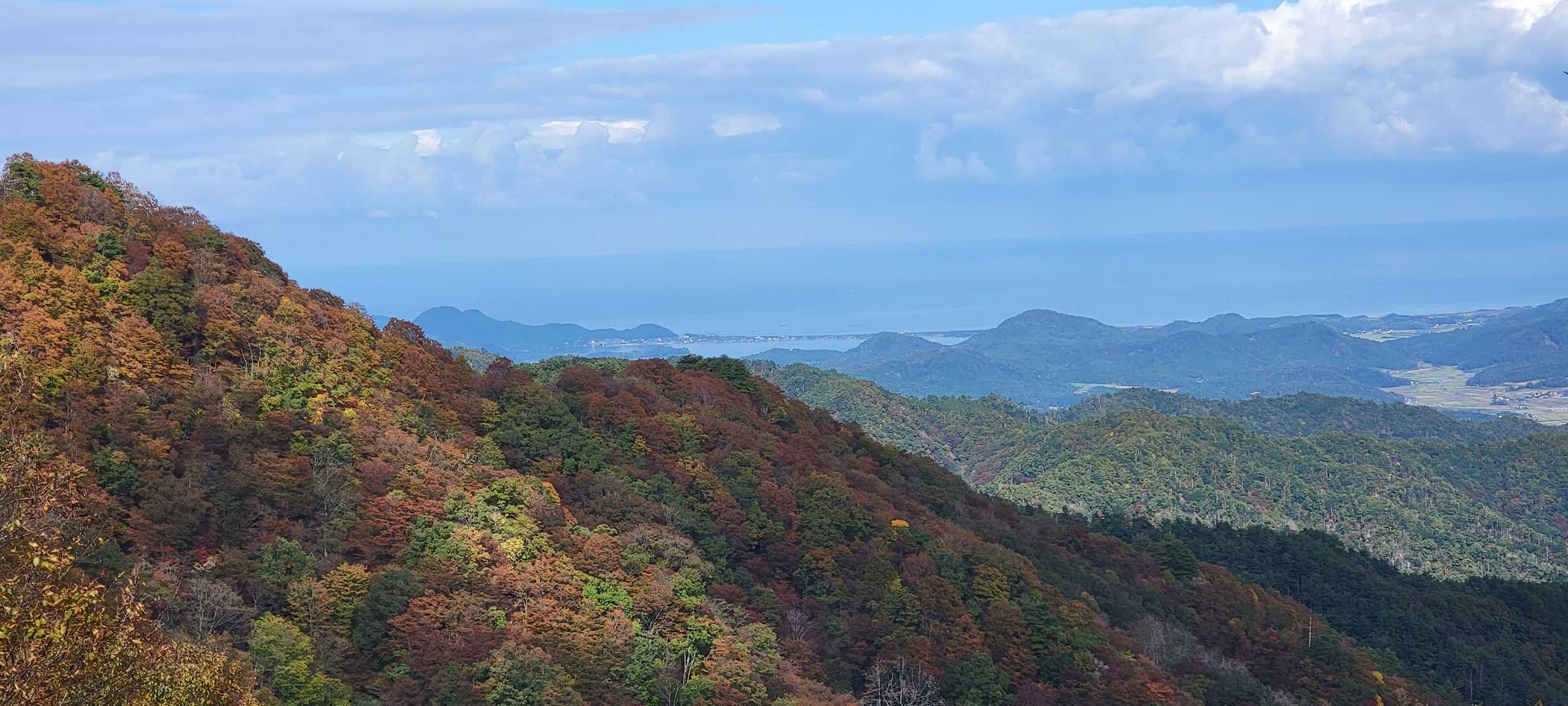 尉ヶ畑峠-高竜寺ヶ岳 往復コースの写真