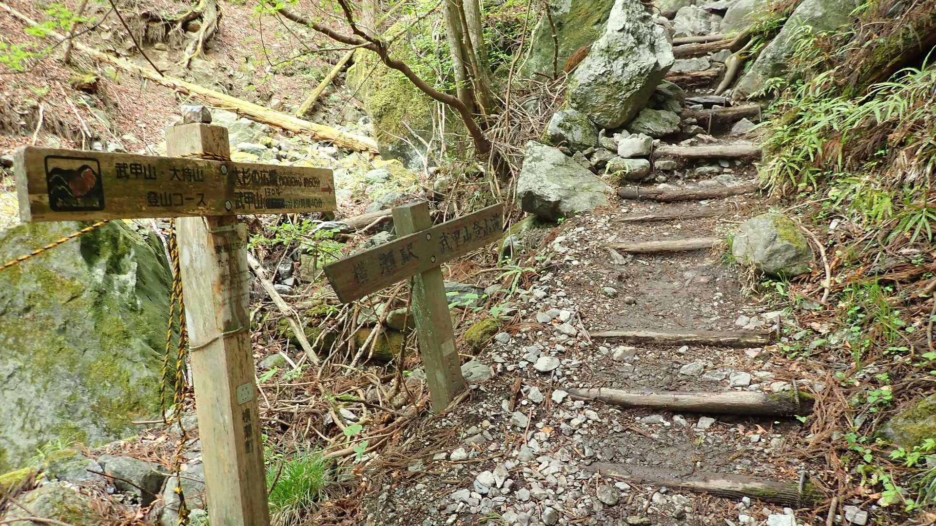 15丁目から登山道ぽく