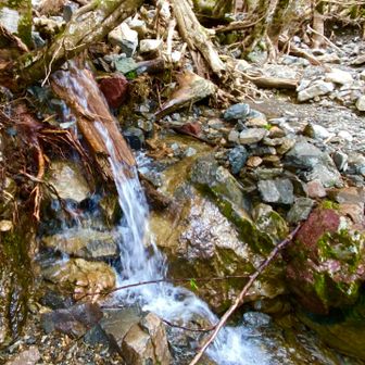 小屋の水場　豊富です🚿
沢の水を汲みます