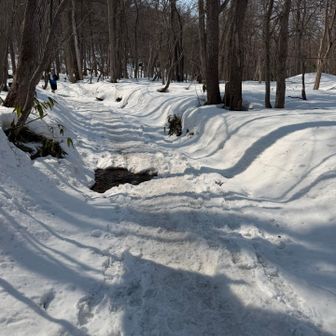登山口　雪が溶けて、一部地面が出てた