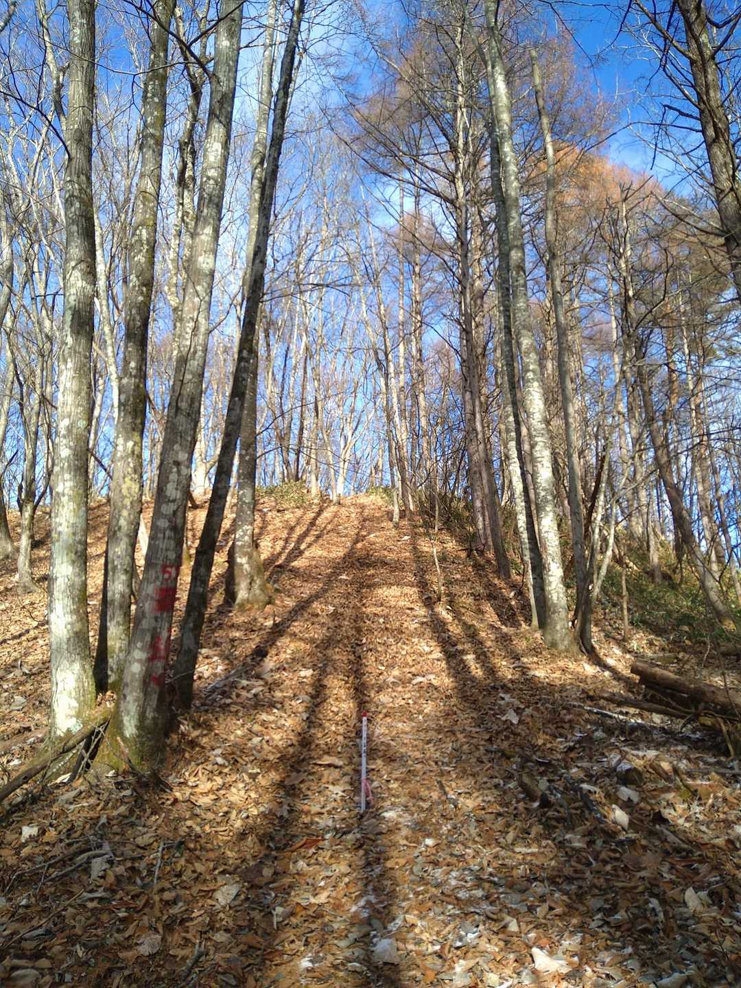 鉱石山登山道入口-木賊山 往復コースの写真