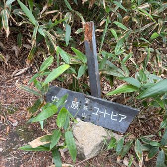 宝珠山標識、折れてました