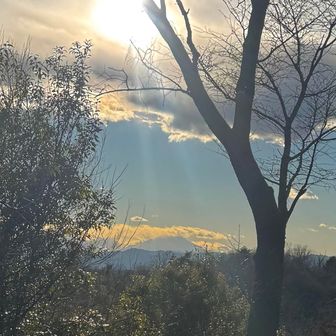 そして、ここからも富士山が見えるんです！