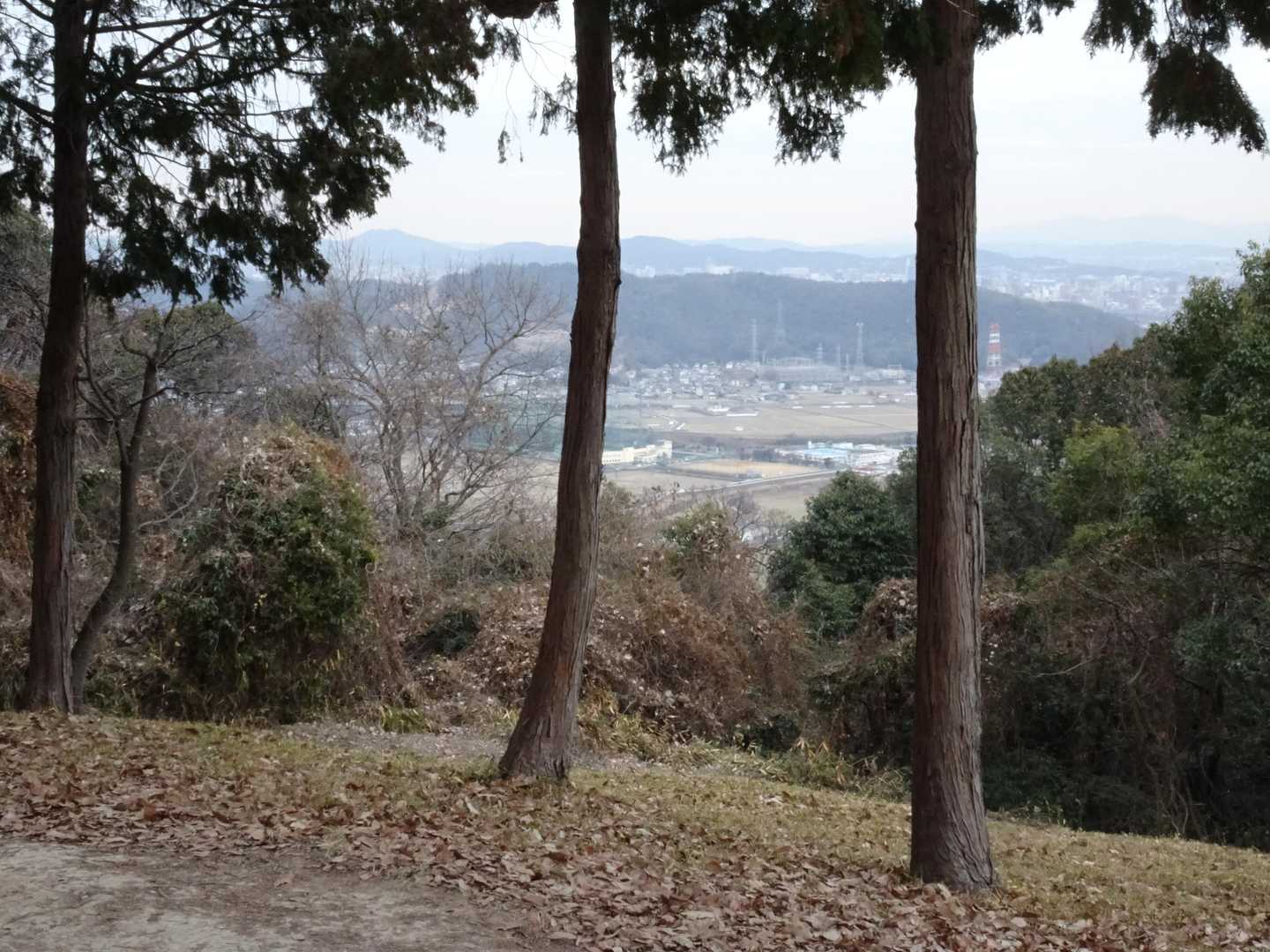 八大龍王からいつもの景色。