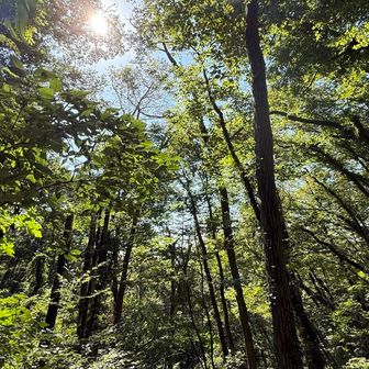 急な下りを終えたので、ちょっと余裕が出てきた😊

日差しが気持ちいいです🥰