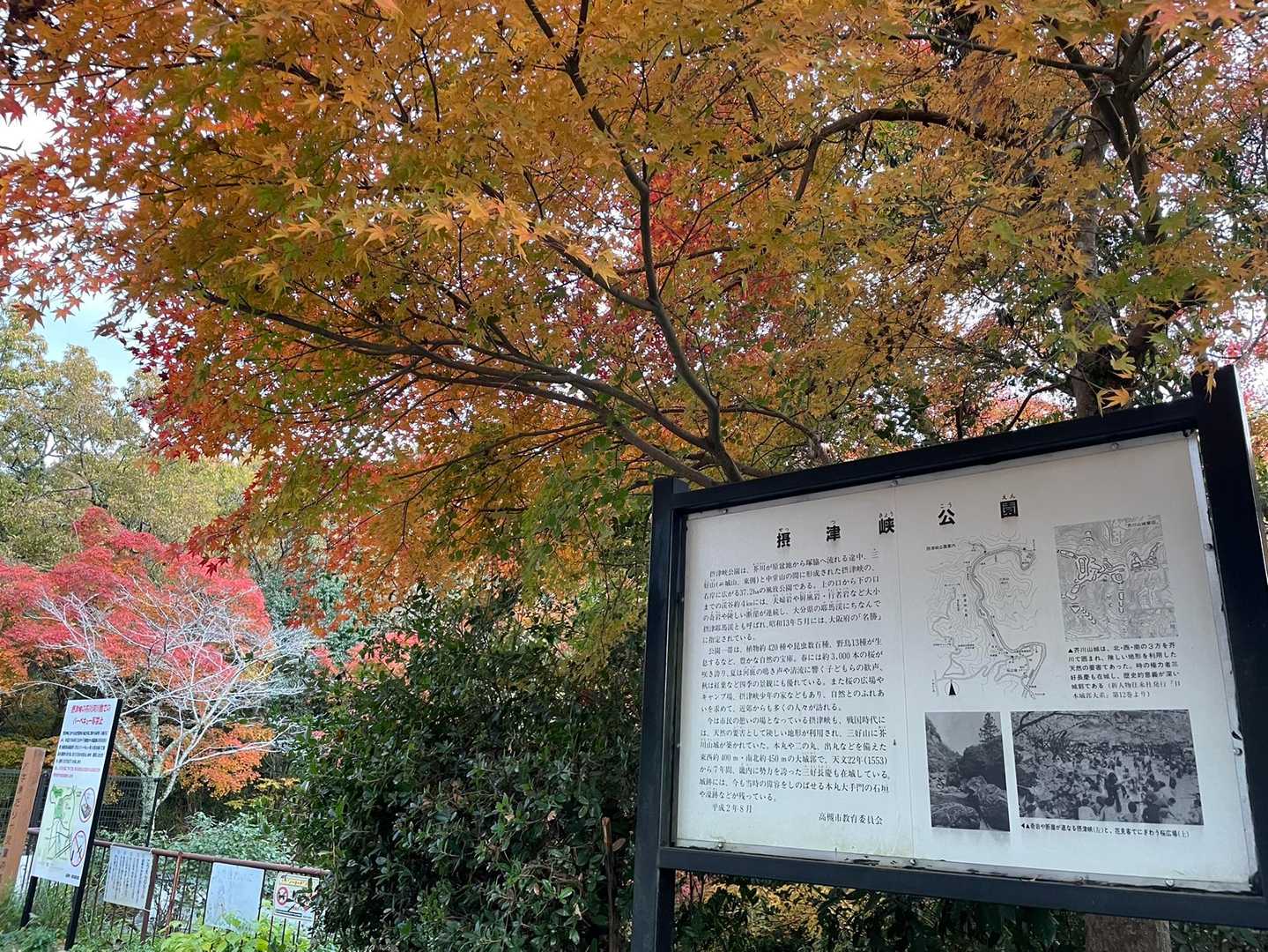 去年の夏以来で久しぶり