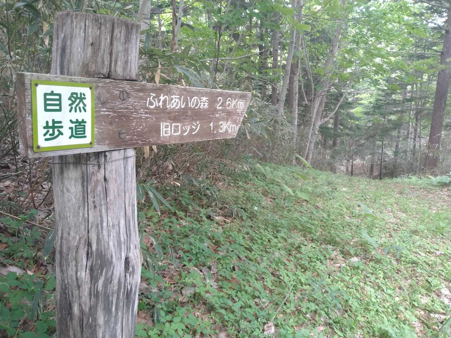 ふれあいの森へ