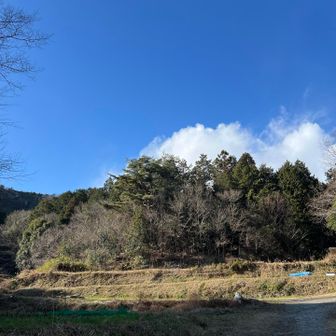 車道に降り立ちました
曇ったり雪が降ったり晴れたり目まぐるしく天気は変化しましたがほぼ晴れの日登山を楽しめました⛰️☀️晴れ男確定‼️‼️