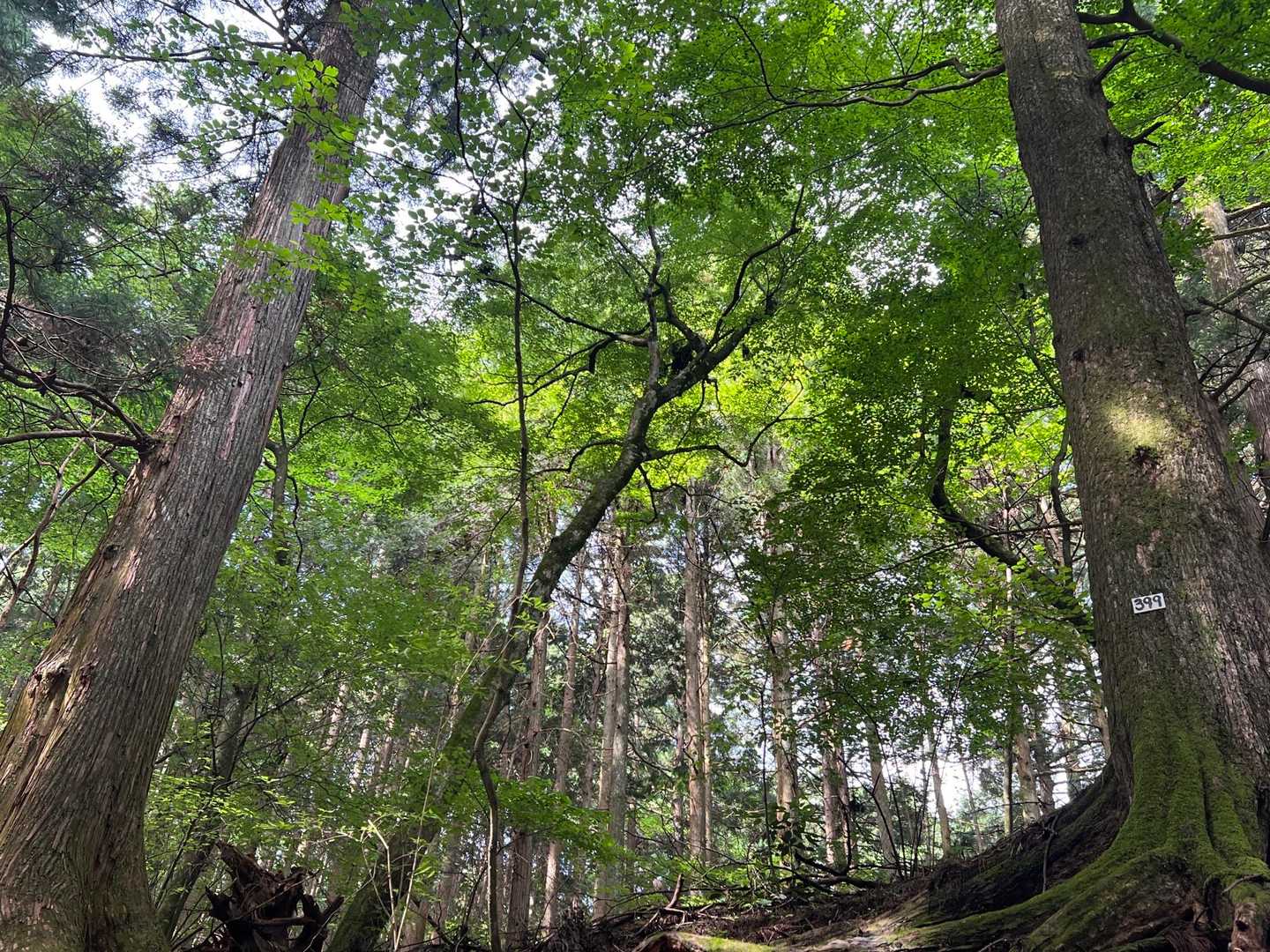 嫌な気分を吹き飛ばしてくれる。