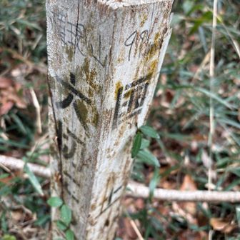 三角点の標柱にも権現山と書かれていた😅