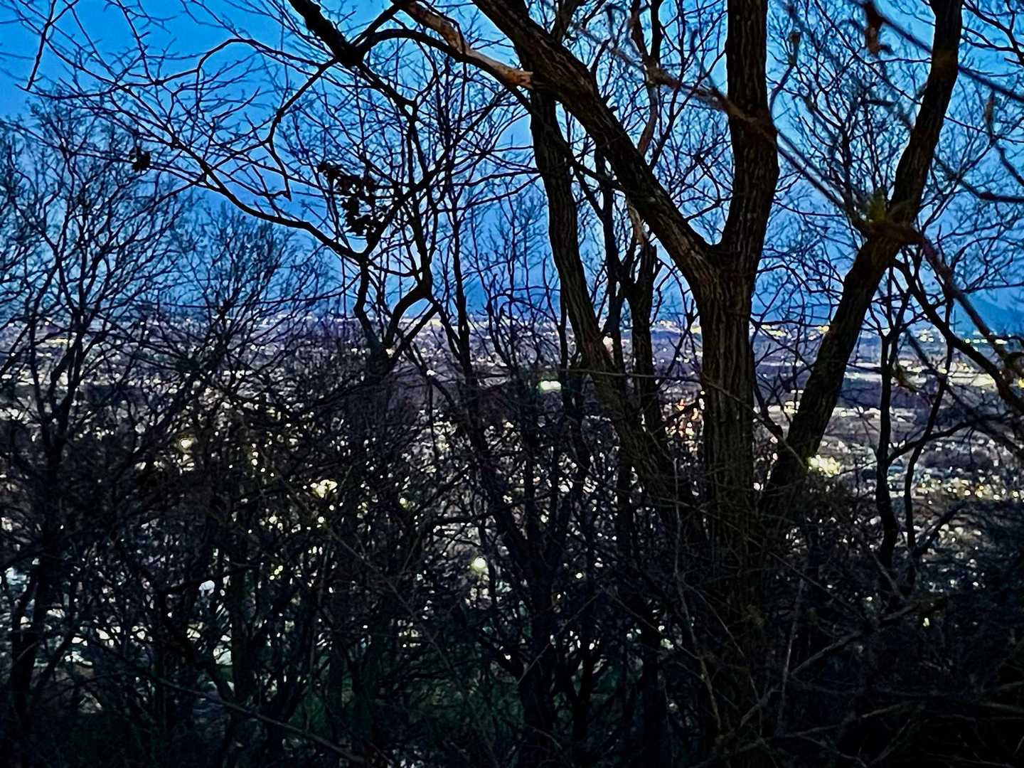 もう　　　　そろそろ夜景に　　　降りないと