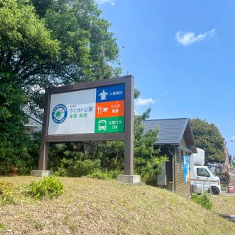 道の駅ウミガメ公園