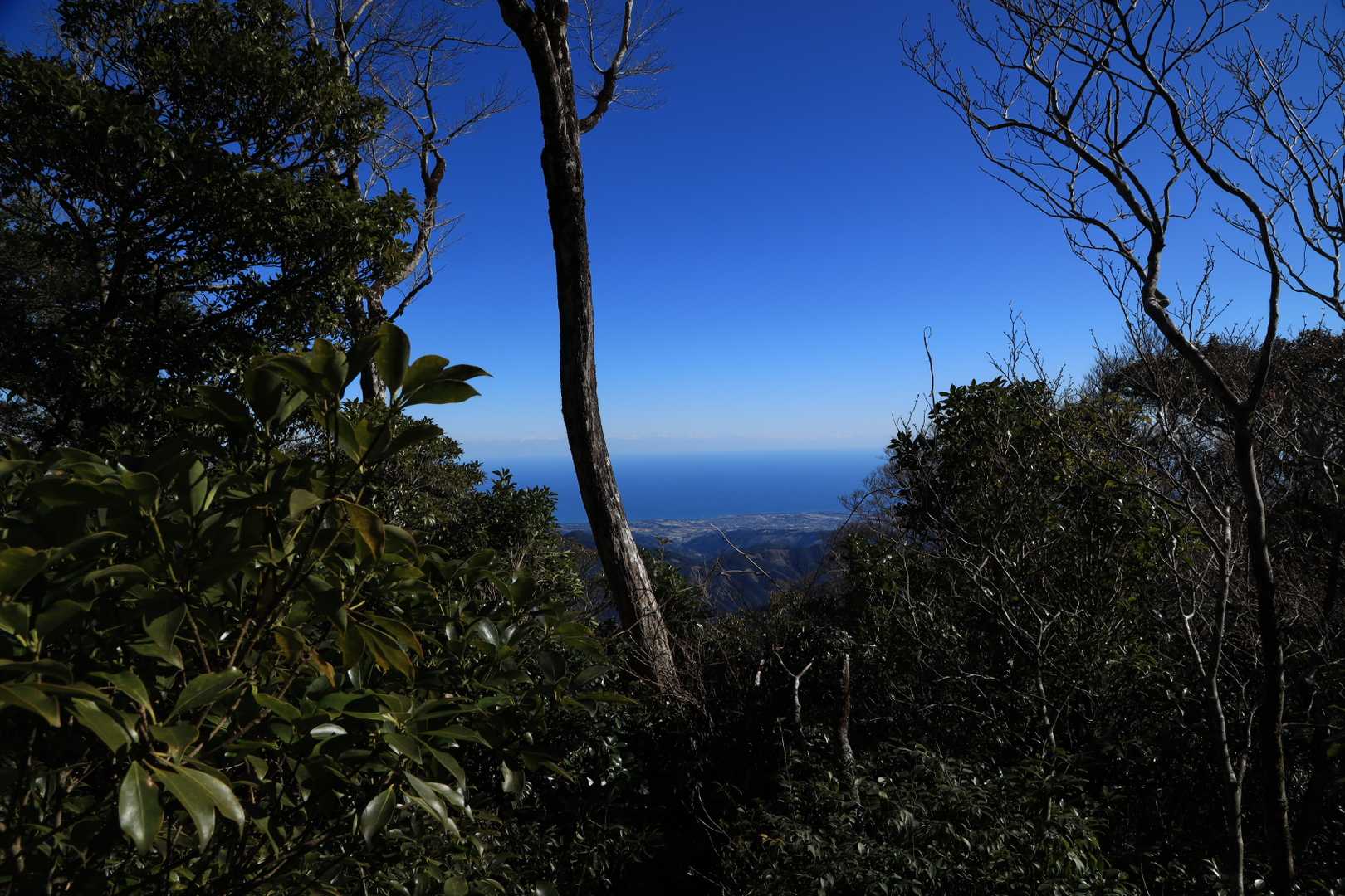 正面登山口-尾鈴山-長崎尾-林道登山口 往復コースの写真
