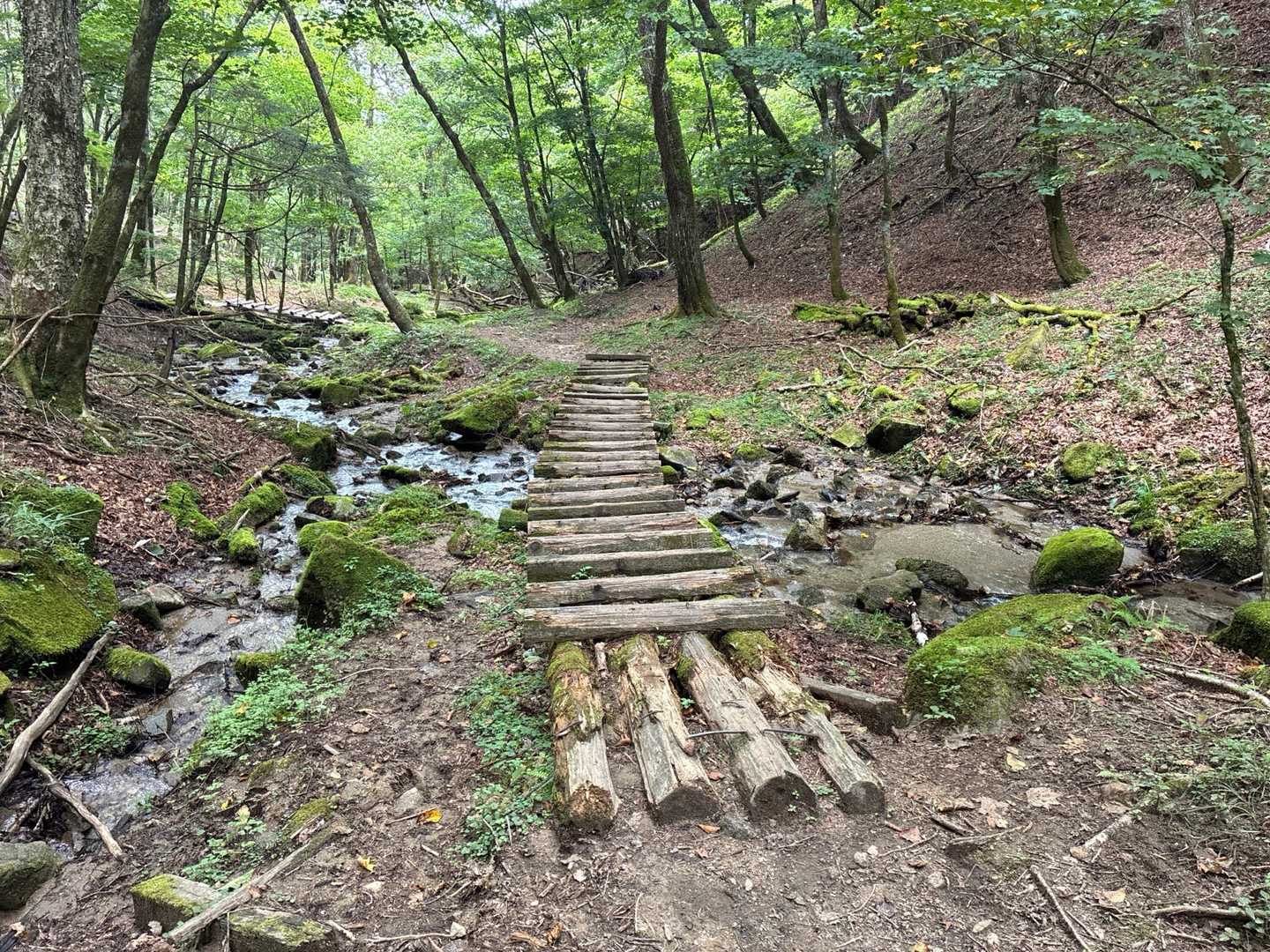 ここがアクセス良かったら川遊びに来たい