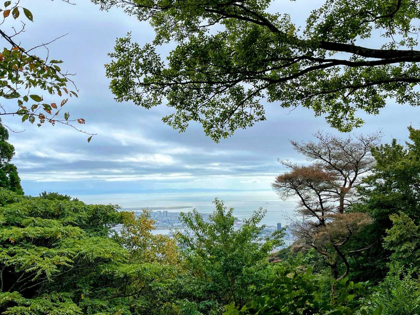 王子公園駅-摩耶山 周回コースの写真