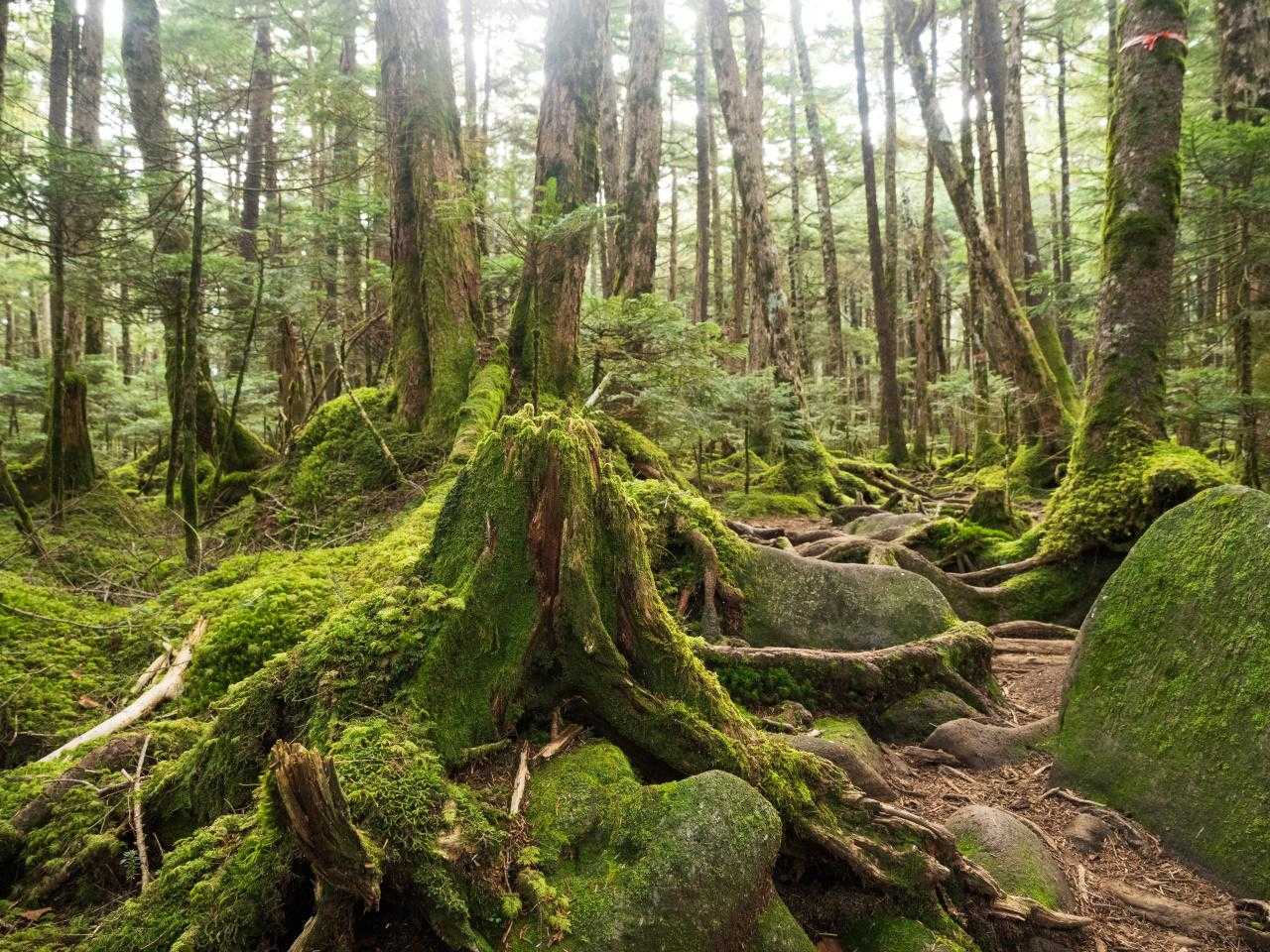 丸山 周回コースの写真