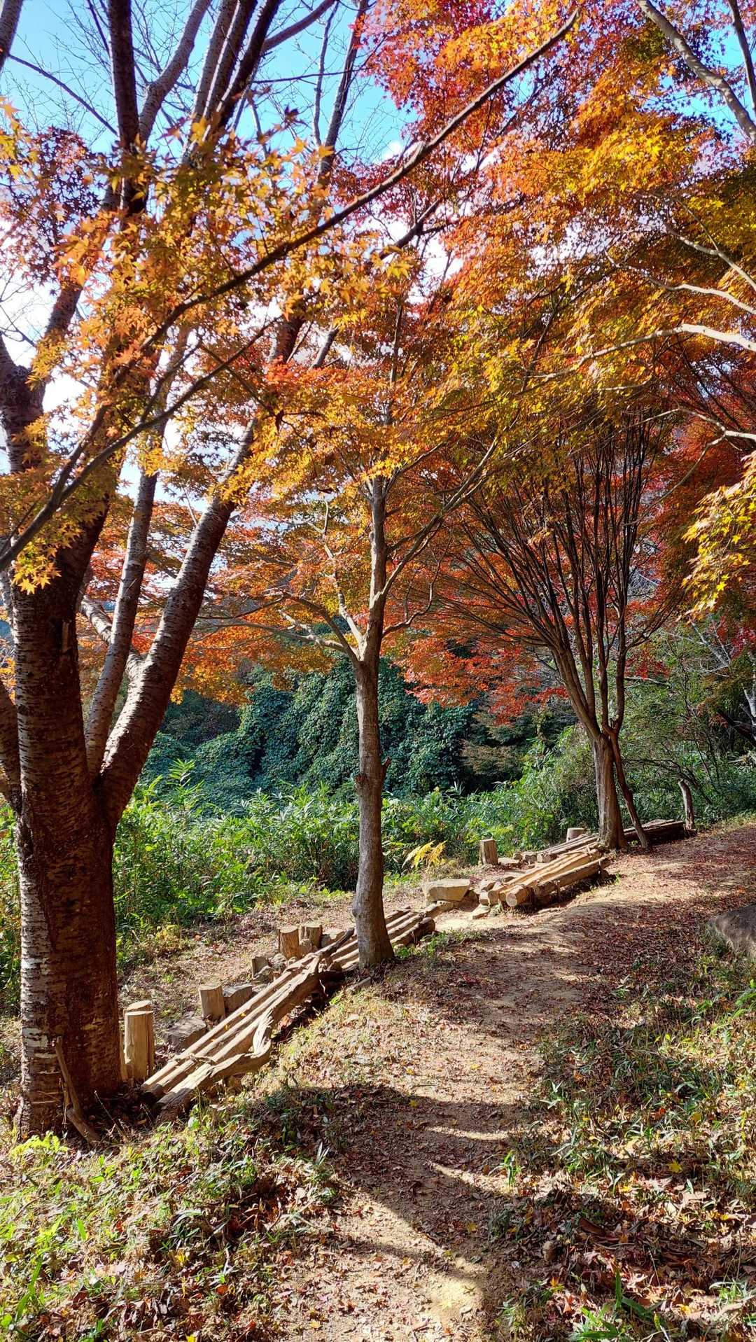 ちょっと休憩