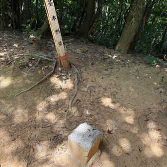 旅伏峰三角点に到着