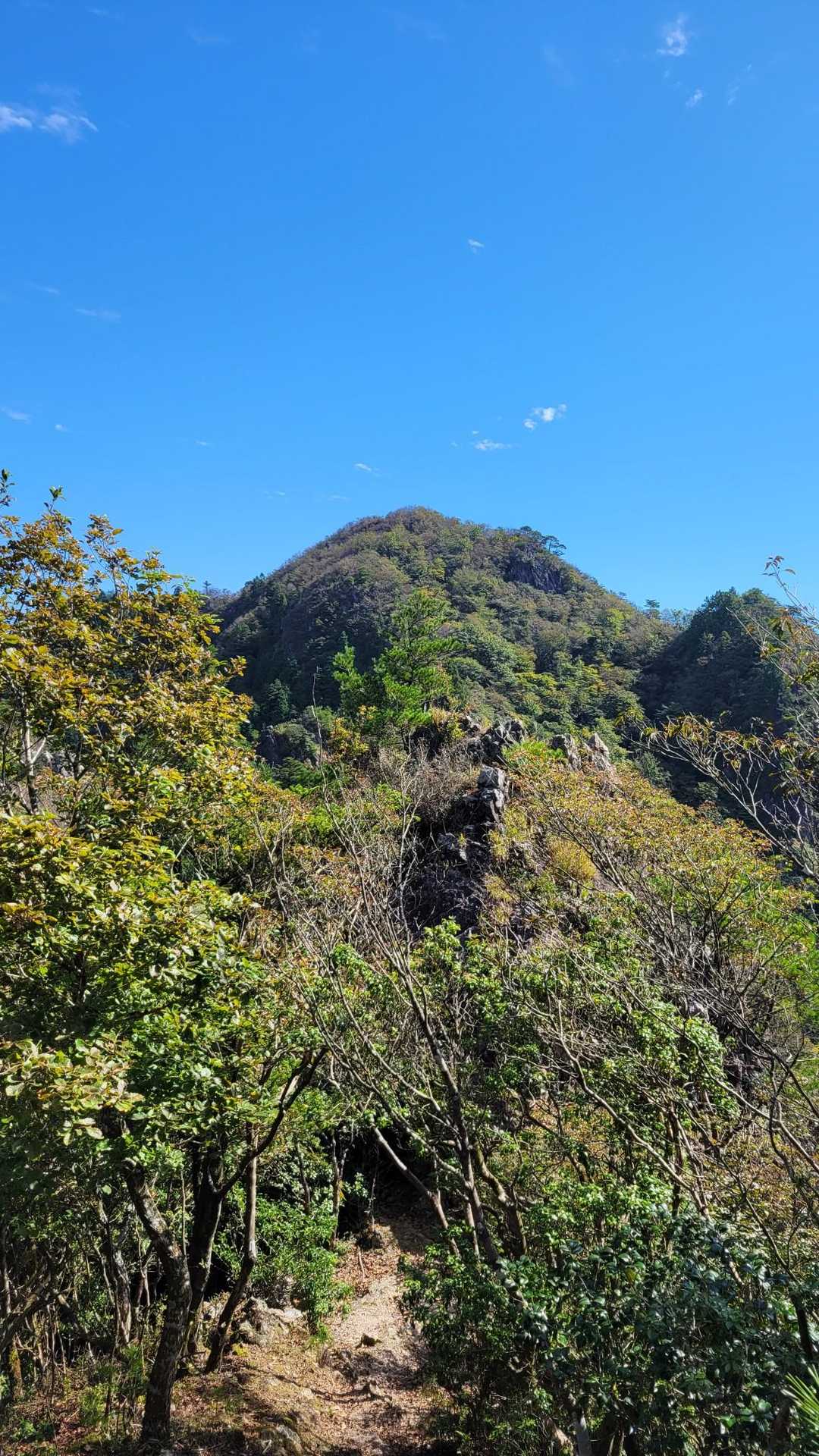 紅葉樹林を抜けたら
頂上が直ぐそこに見えます。
ここから楽しい岩遊びが待ってます😁