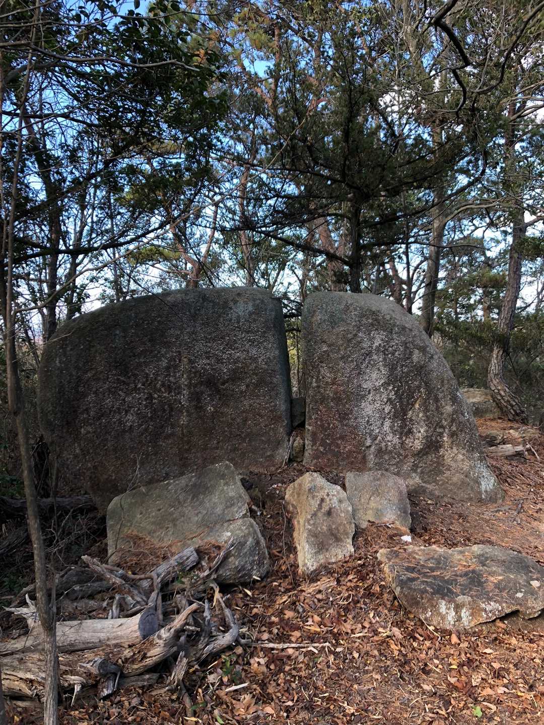 ここにも鬼滅の岩🪨？
この岩を右に入ったとこに犬墓山のピークがありました🤗