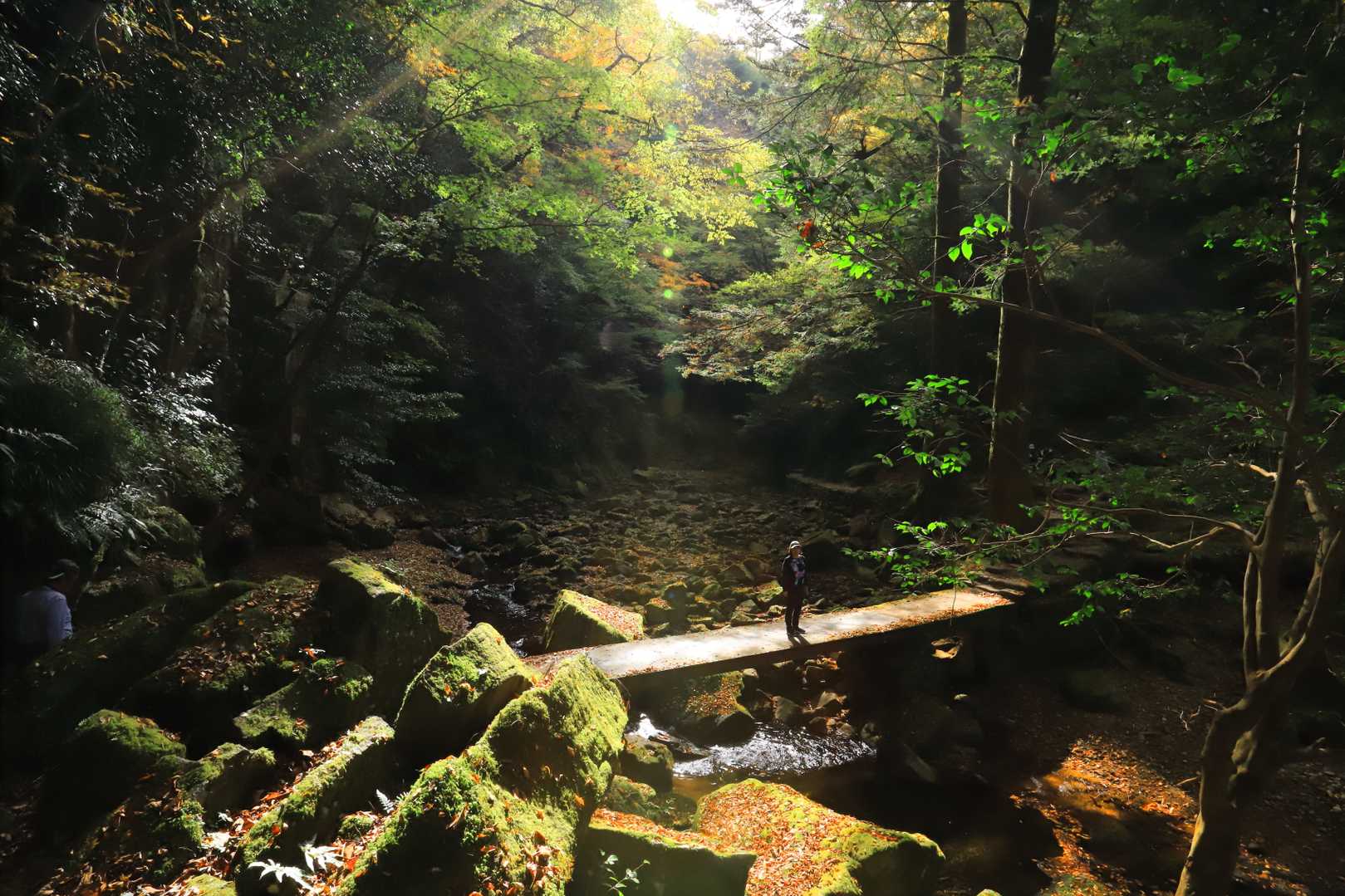 【赤目四十八滝】数々の滝・岩・淵が連続する変化に富んだ山歩道の写真