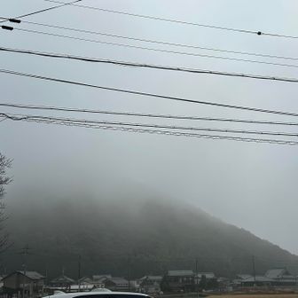 行きしな高速🛣️で滋賀に入ると濃霧がすごくて山も全く見えてなかったのですが、やっと裾野が見えてきました😉