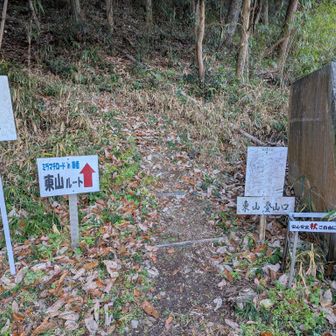 東山に登ります