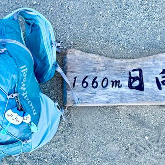 ザックが青だったので今日はハチワレを連れ