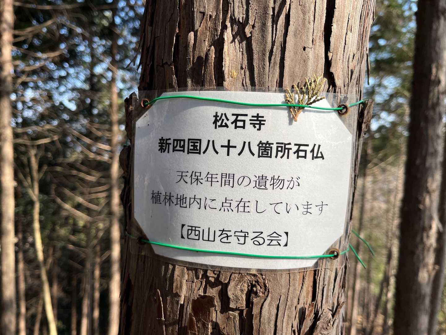 たくさんあるらしい