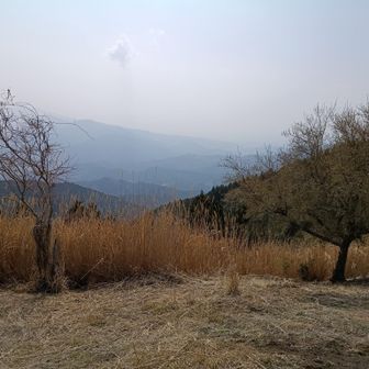 ほどなく頂上に登頂するも
霞の中に薄っすらと富士山🗻

最近スマホ変えたけどカメラ性能がイマイチ

いやいや、カメラの性能のせいではなく、本当は見えませんでした🤣