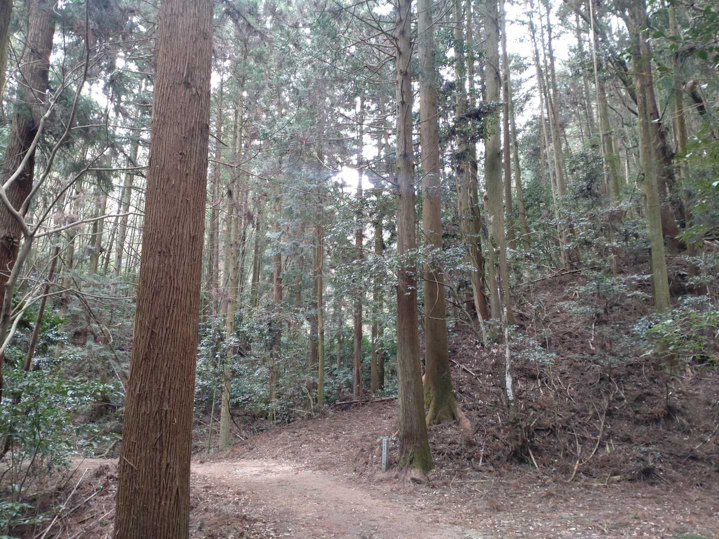 天気悪いので薄暗い