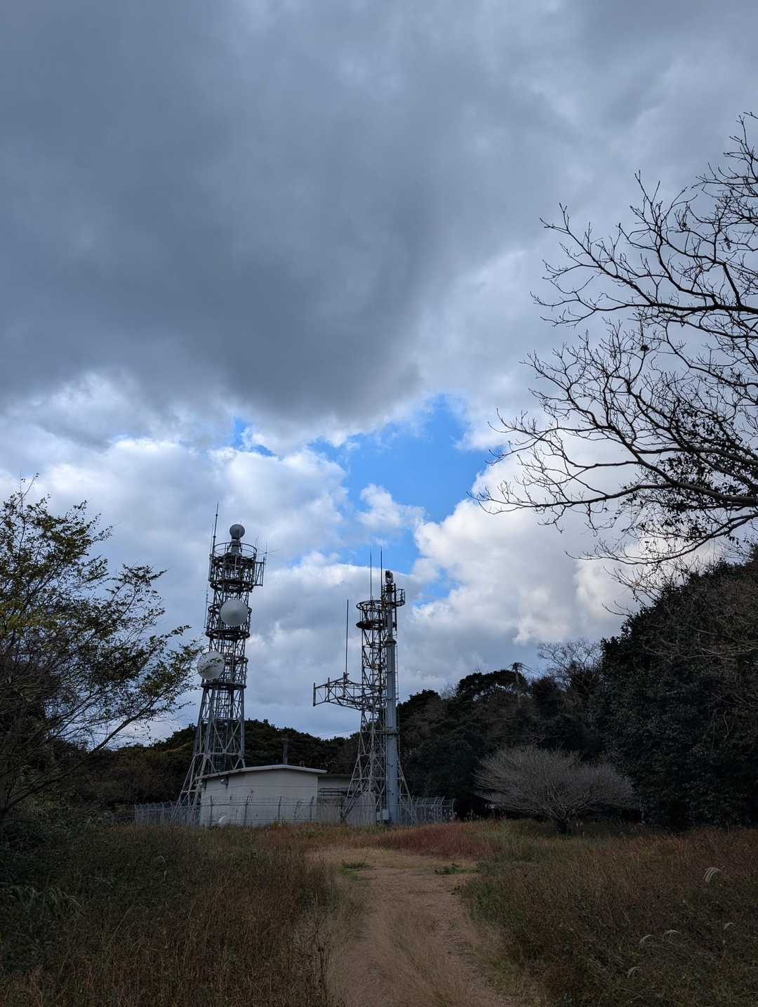 少し見える青空綺麗です。