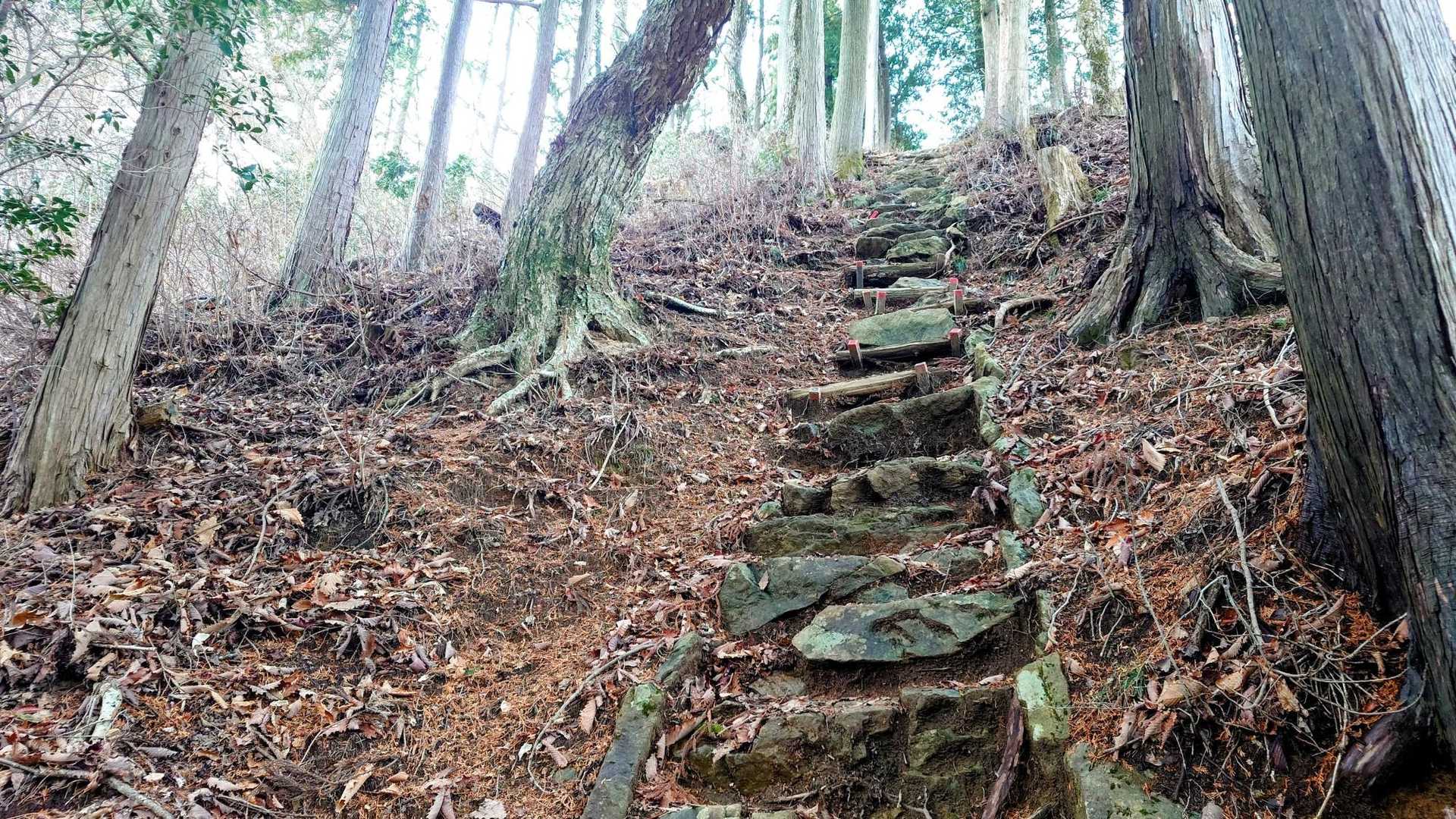 急階段↗
