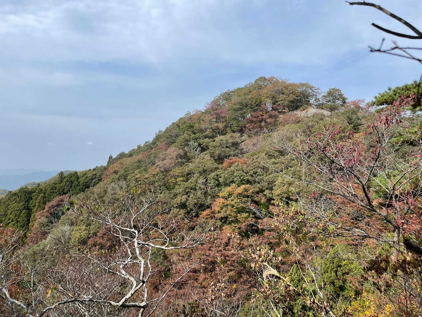 あの木の生えてないとこは
篭岩山頂手前の展望いいとこ