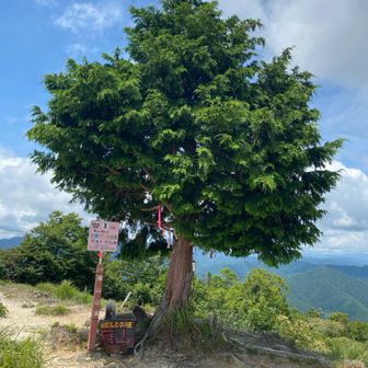 着いたー😃
感動して涙が・・・出ない⤵︎
山頂独り占め😁

疲れた😓


