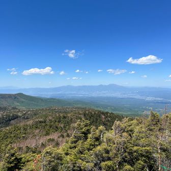 青がまぶしい