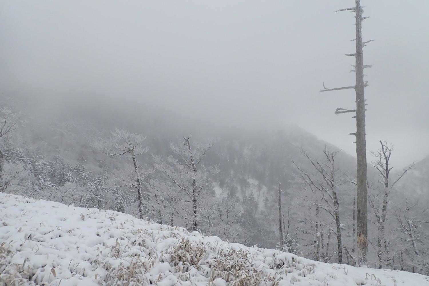 釈迦ヶ岳山頂は雲の中ですね。
