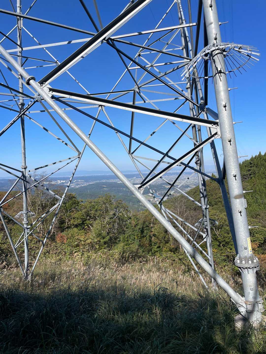 大乗悟山登り口-大乗悟山-笹津山 周回コースの写真
