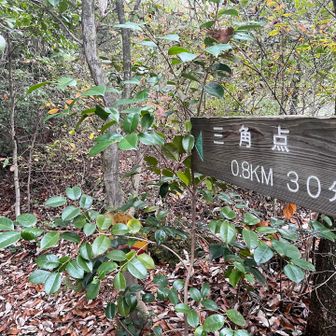 あと30分
やっと山道に入ってきました。