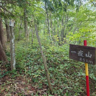 ヤマップピークより手前に山名板がありました。