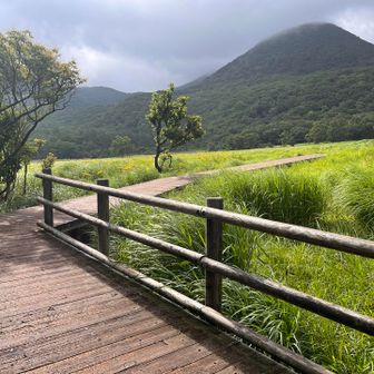少し雨がパラパラしてきましたが🤣
吉部登山口は駐車場が先日の豪雨でエグれてるみたいで🥹
1番慣れた長者原からスタートしました🅿️