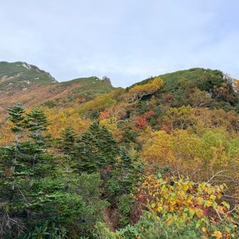 山頂見えた！！