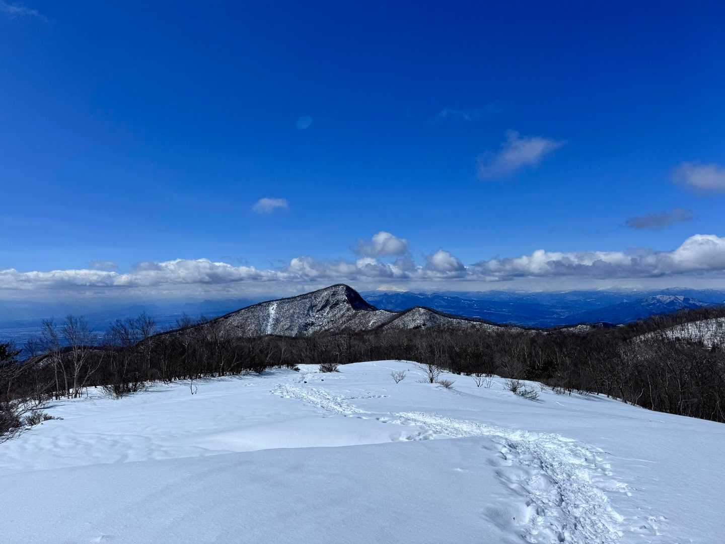荒山