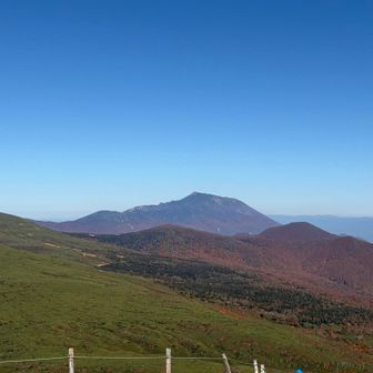 岩手山も今回登るかかなり悩んだ。
やっぱりコマクサの咲く季節がいいかな？