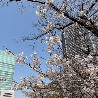 いい天気です。