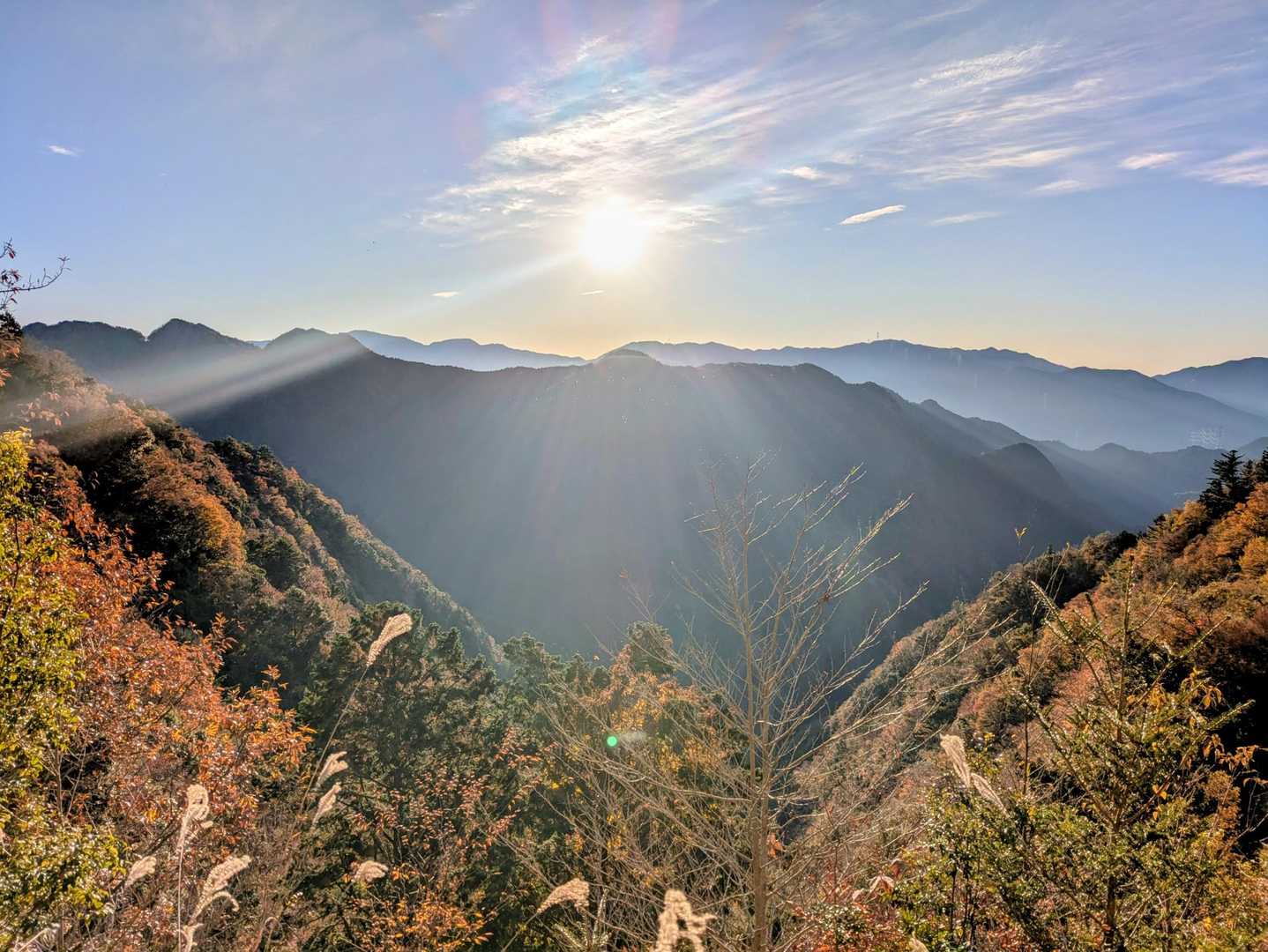 大笹山 往復コースの写真
